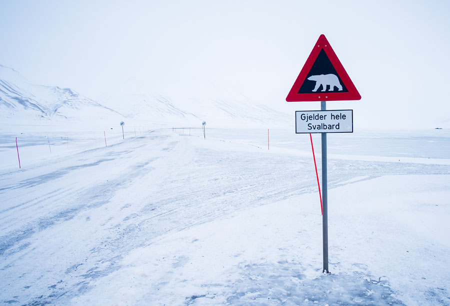 Skilt som varsler om isbjørn på Svalbard